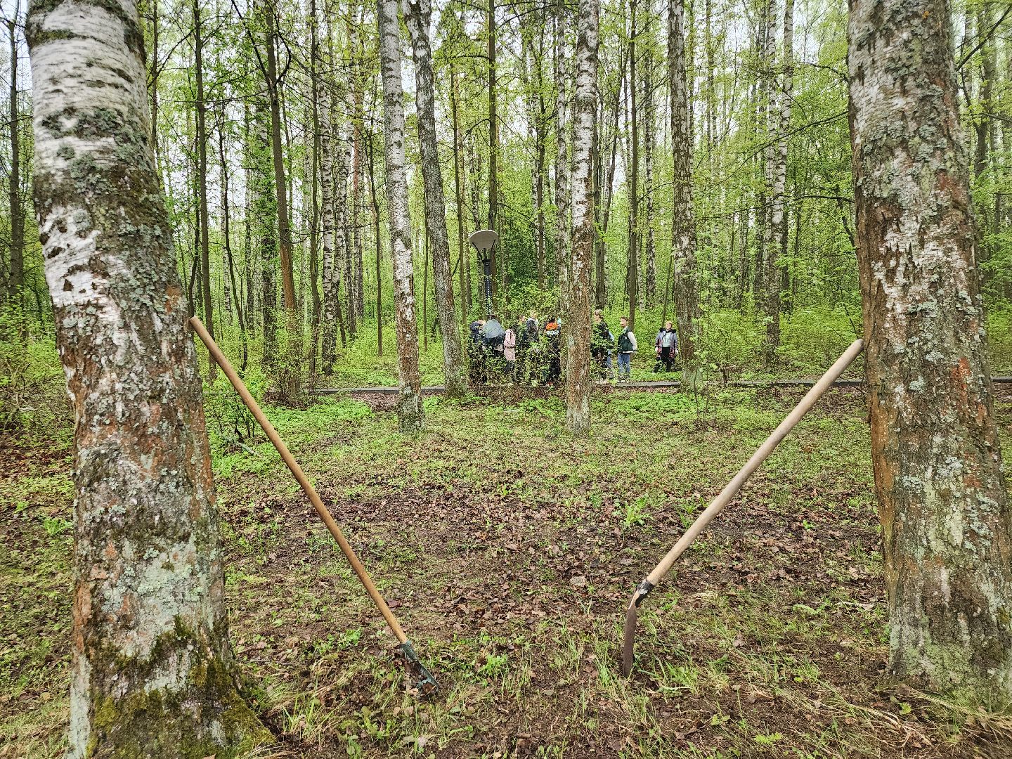 День добрых дел, уборка общественных территорий, школьники, Ногинск, Богородский городской округ,