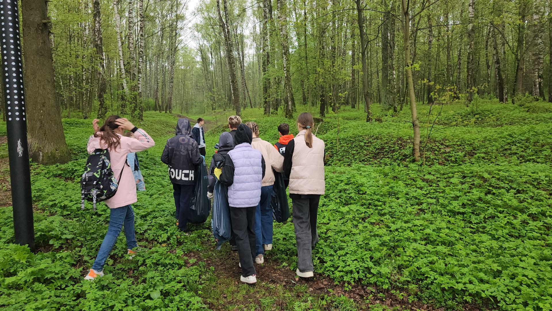 День добрых дел, уборка общественных территорий, школьники, Ногинск, Богородский городской округ,