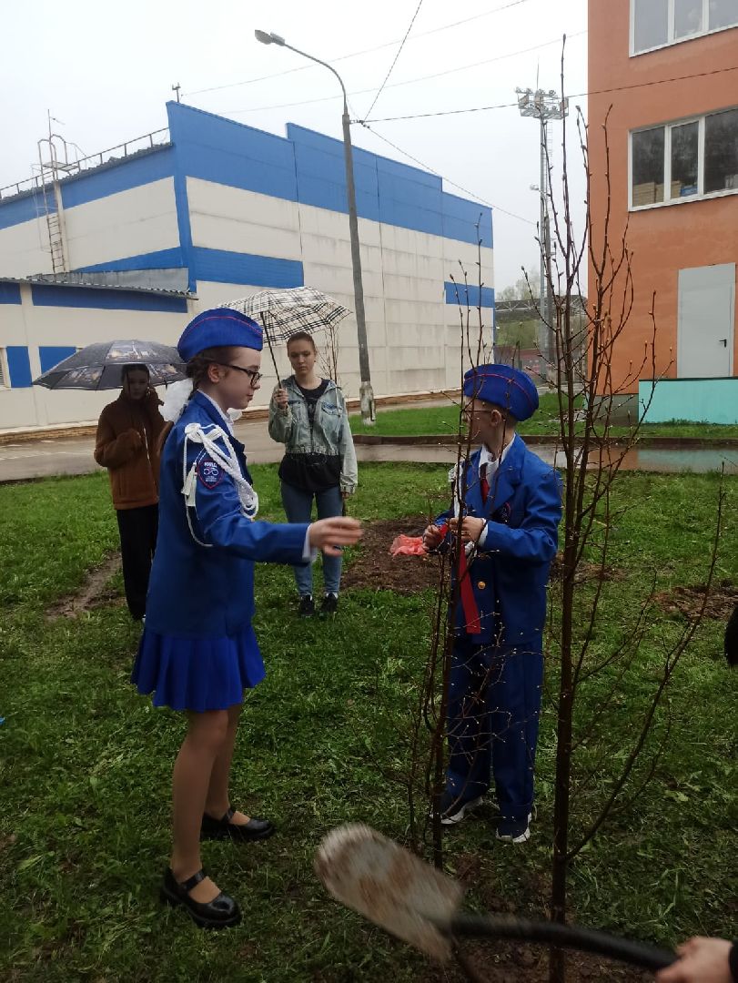 Звенигород, благоустройство,