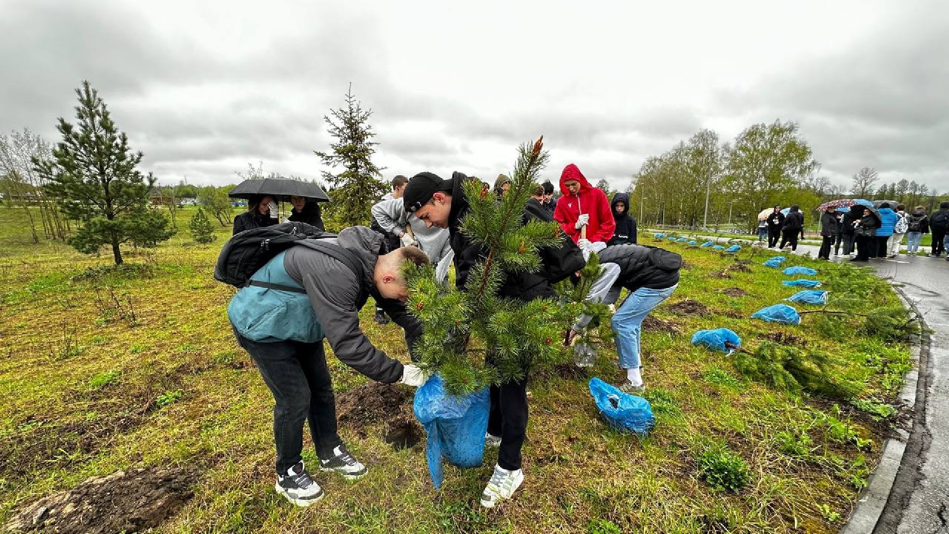можайск, можайский городской округ, подмосковье, день добрых дел, акция, областная акция, волонтеры, активисты, посадка деревьев, парк, парк ривьера, благоустройство, субботник,