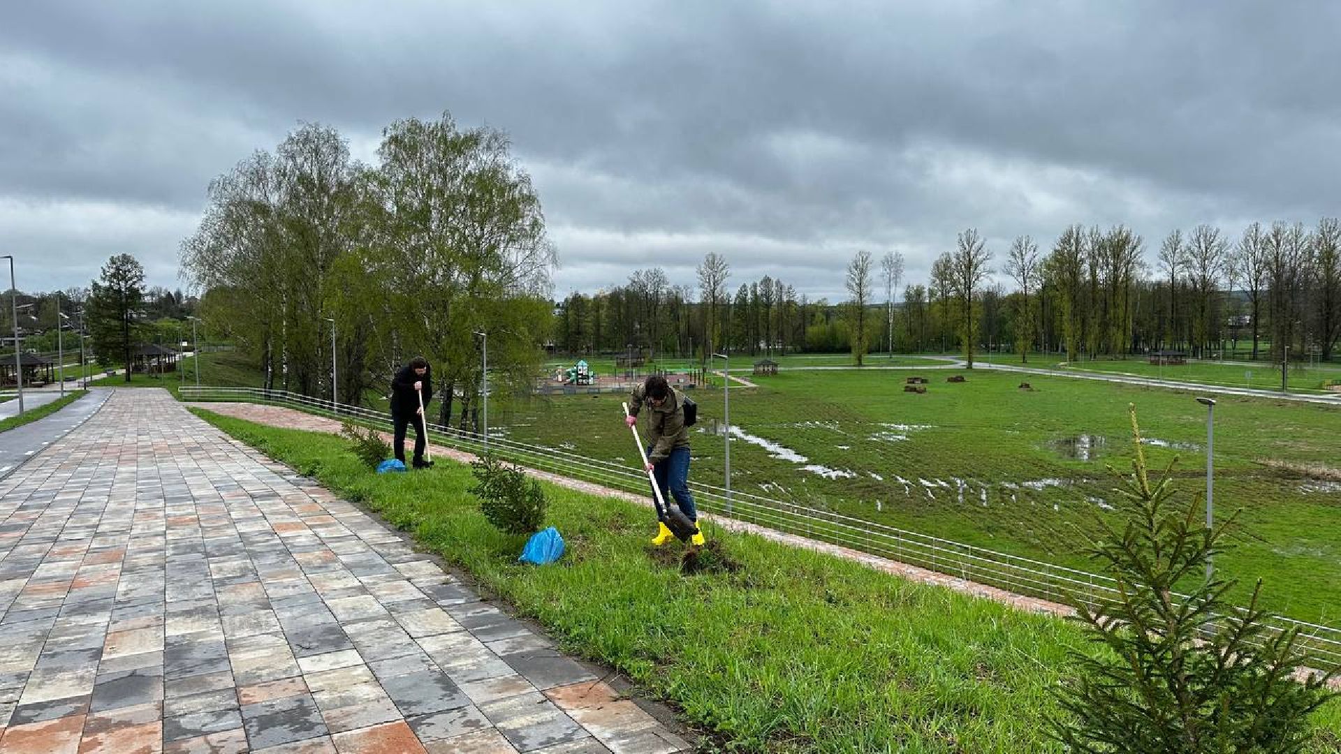 можайск, можайский городской округ, подмосковье, день добрых дел, акция, областная акция, волонтеры, активисты, посадка деревьев, парк, парк ривьера, благоустройство, субботник,