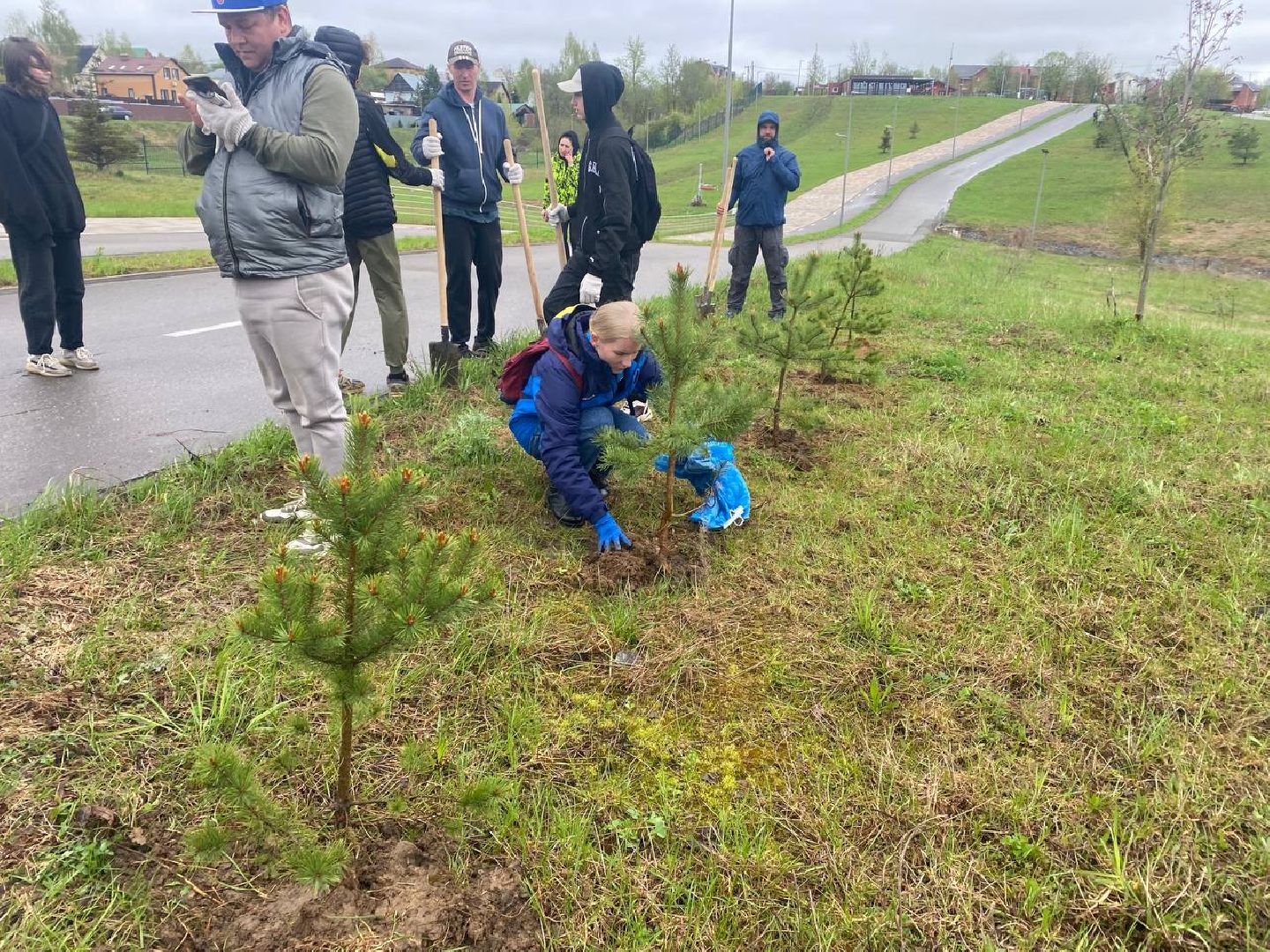 можайск, можайский городской округ, подмосковье, день добрых дел, акция, областная акция, волонтеры, активисты, посадка деревьев, парк, парк ривьера, благоустройство, субботник,