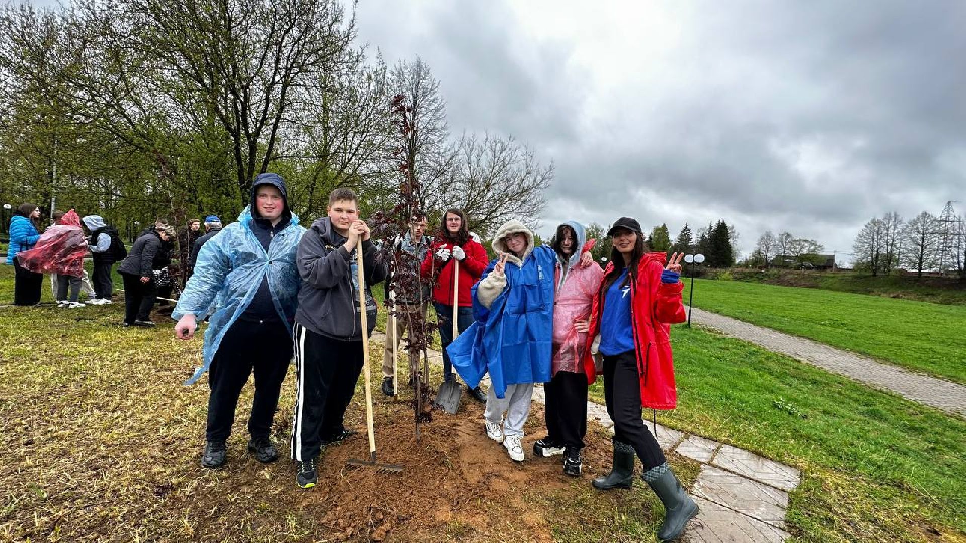 можайск, можайский городской округ, подмосковье, день добрых дел, акция, областная акция, волонтеры, активисты, посадка деревьев, парк, парк ривьера, благоустройство, субботник,