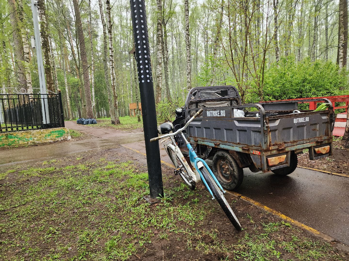 День добрых дел, школьники, Центральный парк, Ногинск, богородский городской округ,
