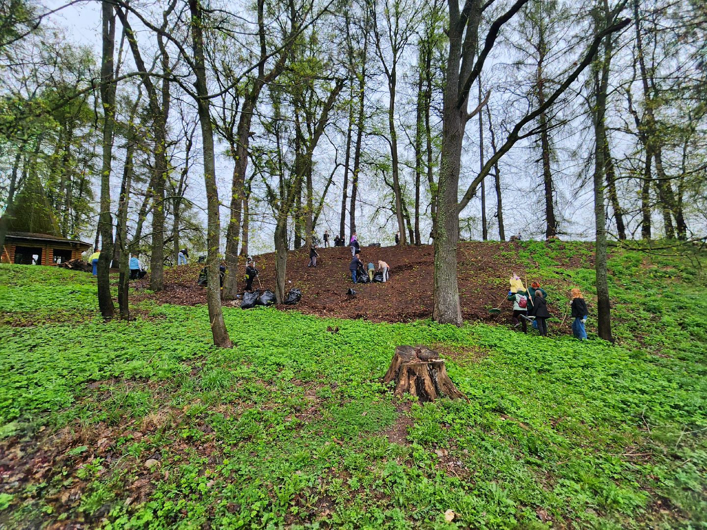 Субботник, общеобластной субботник, день добрых дел, парк городок, Руза, Рузский округ, Московская область,