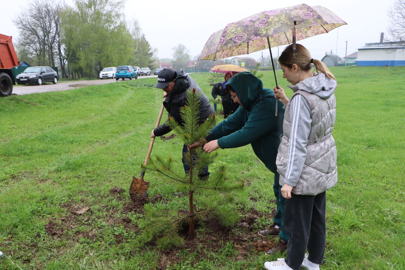 Серебряные Пруды, сквер к 100-летию Серебряно-Прудского района, сосны, посадка деревьев, день добрых дел, общеобластной субботник,