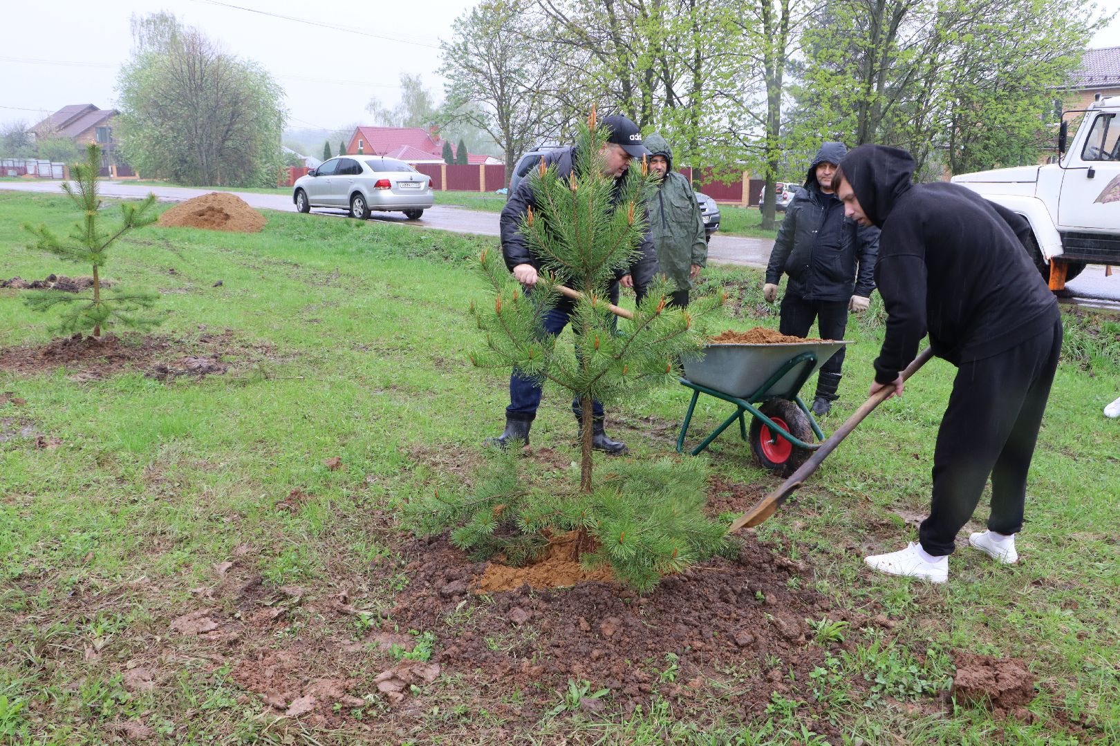 Серебряные Пруды, сквер к 100-летию Серебряно-Прудского района, сосны, посадка деревьев, день добрых дел, общеобластной субботник,