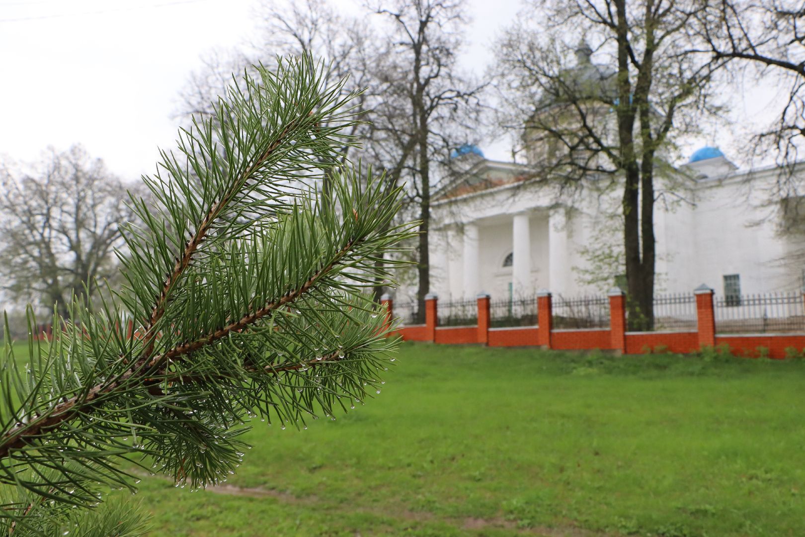 Серебряные Пруды, сквер к 100-летию Серебряно-Прудского района, сосны, посадка деревьев, день добрых дел, общеобластной субботник,