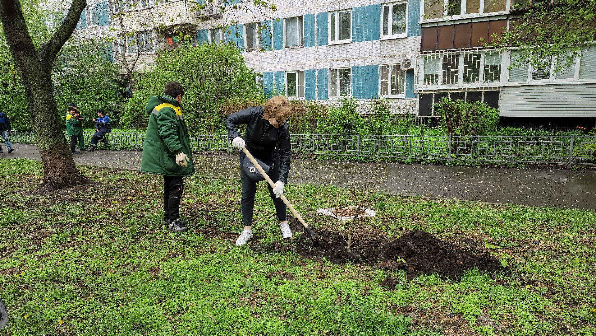 субботник, посадка деревьев, день добрых дел,