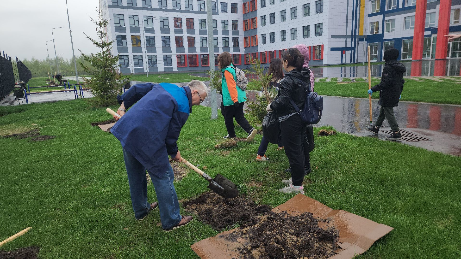день добрых дел, шатура, лицей перспектива, елки, высадка деревьев, областная акция,