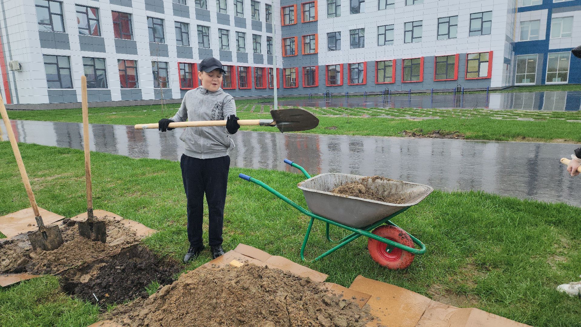 день добрых дел, шатура, лицей перспектива, елки, высадка деревьев, областная акция,