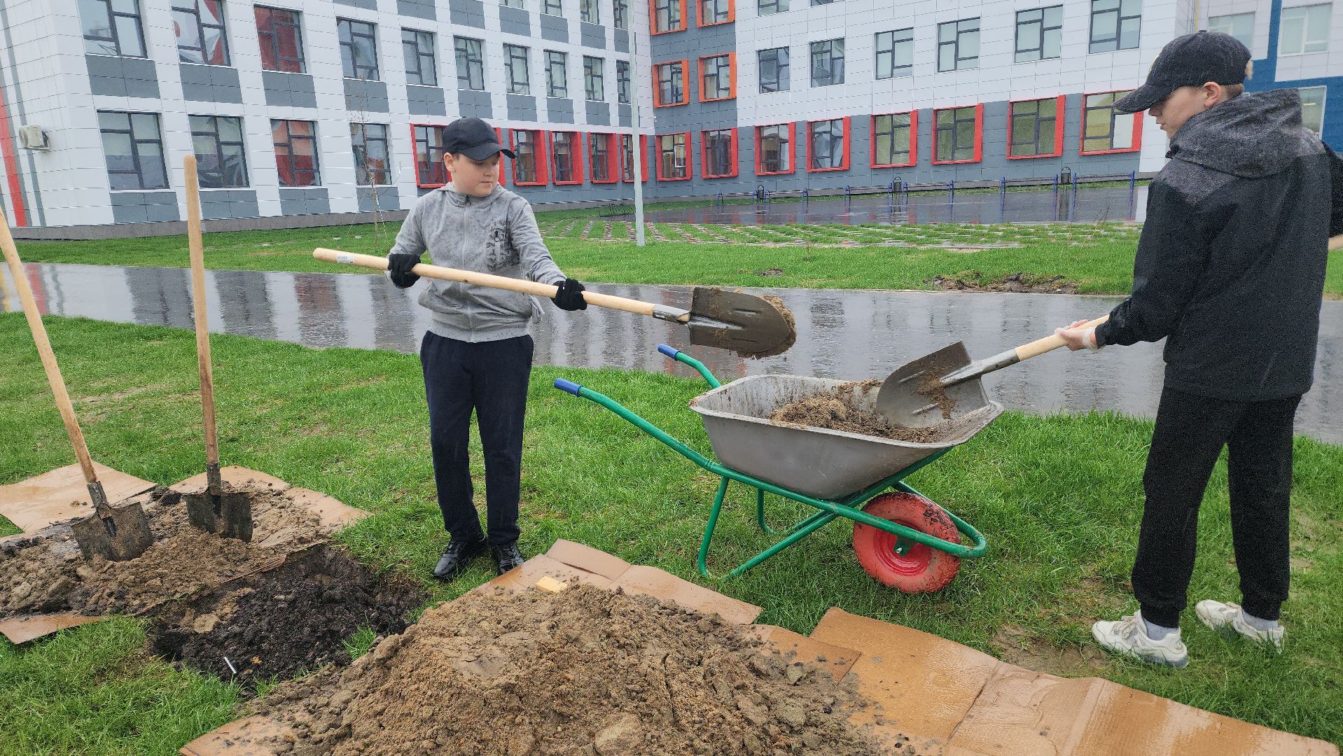 день добрых дел, шатура, лицей перспектива, елки, высадка деревьев, областная акция,