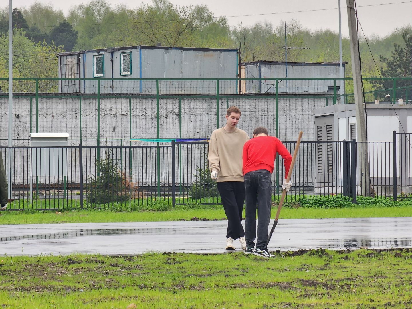 день добрых дел, ногинск, школа, посадка деревьев, сосновая аллея,