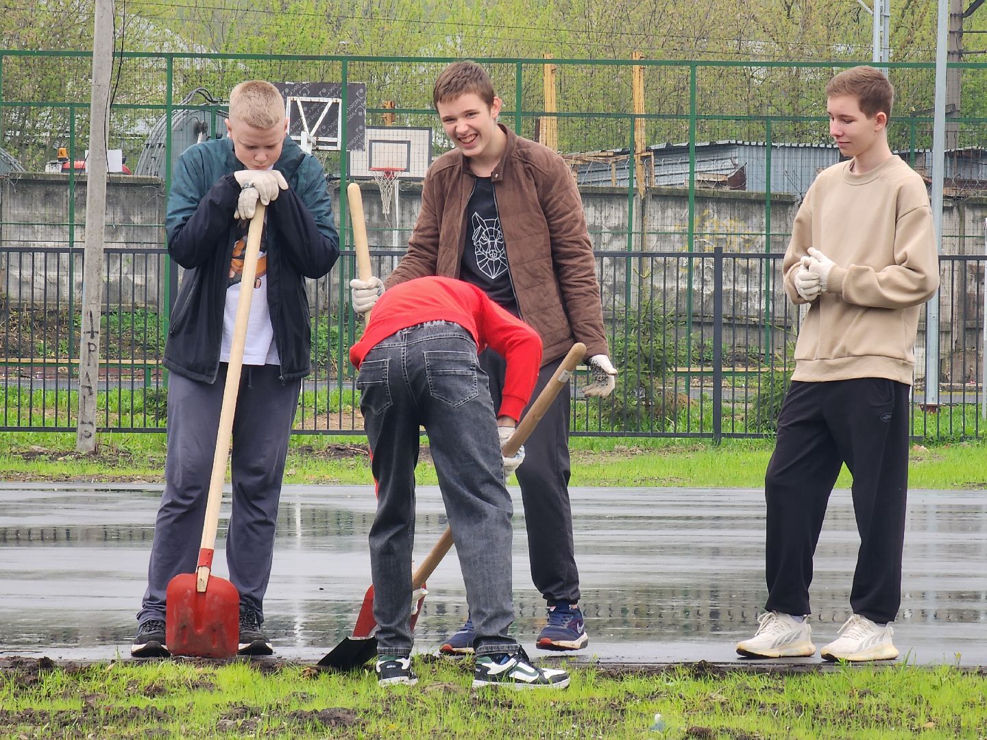 день добрых дел, ногинск, школа, посадка деревьев, сосновая аллея,