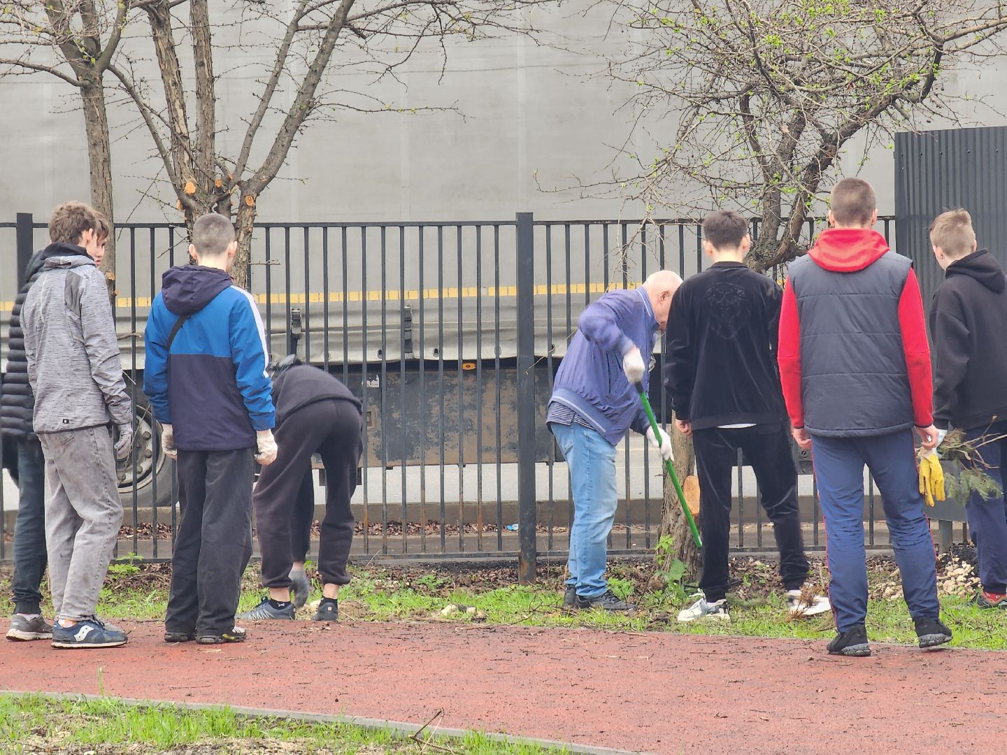 день добрых дел, ногинск, школа, посадка деревьев, сосновая аллея,