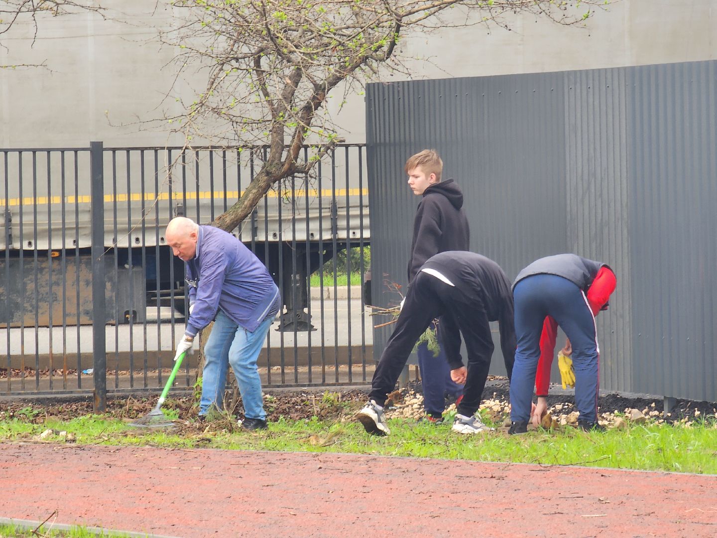 день добрых дел, ногинск, школа, посадка деревьев, сосновая аллея,