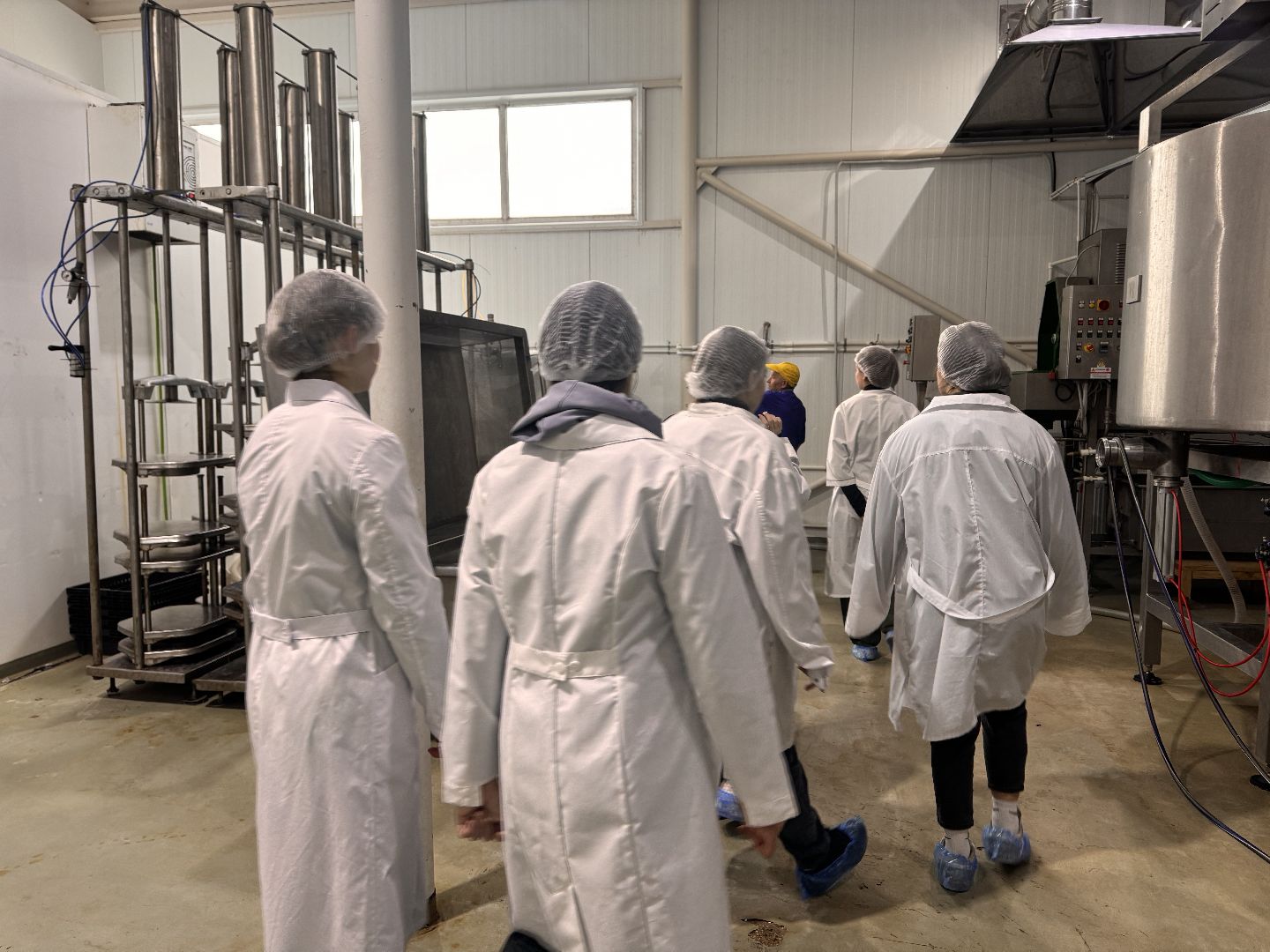 шаховская, день добрых дел, сыроварня,