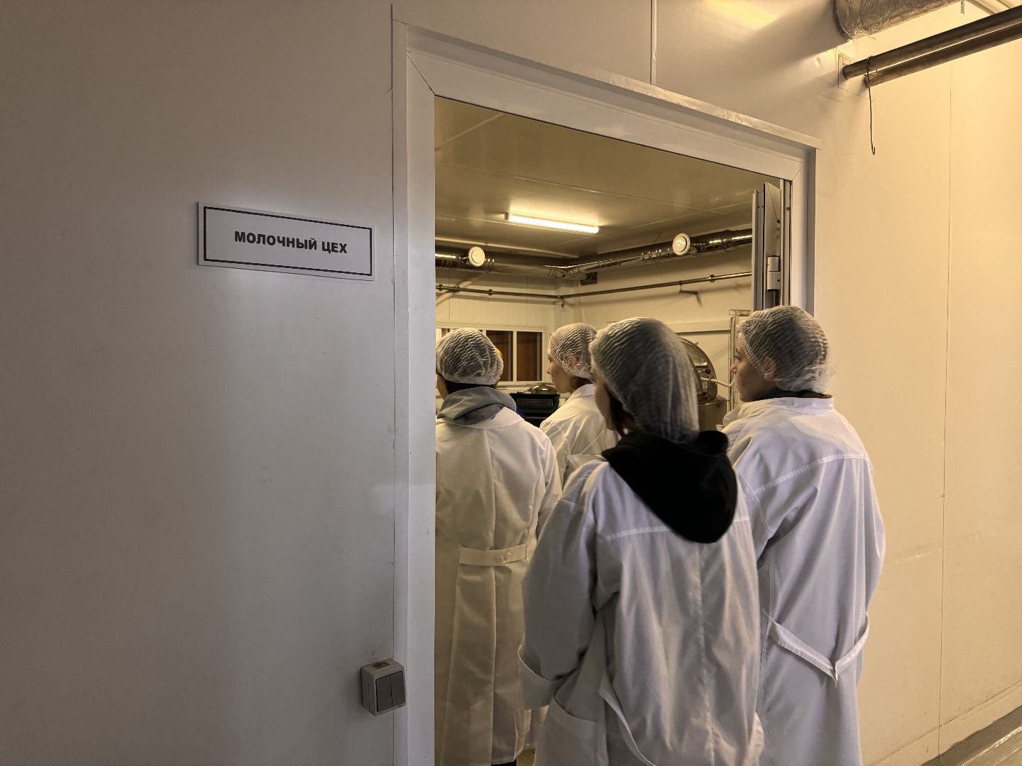 шаховская, день добрых дел, сыроварня,