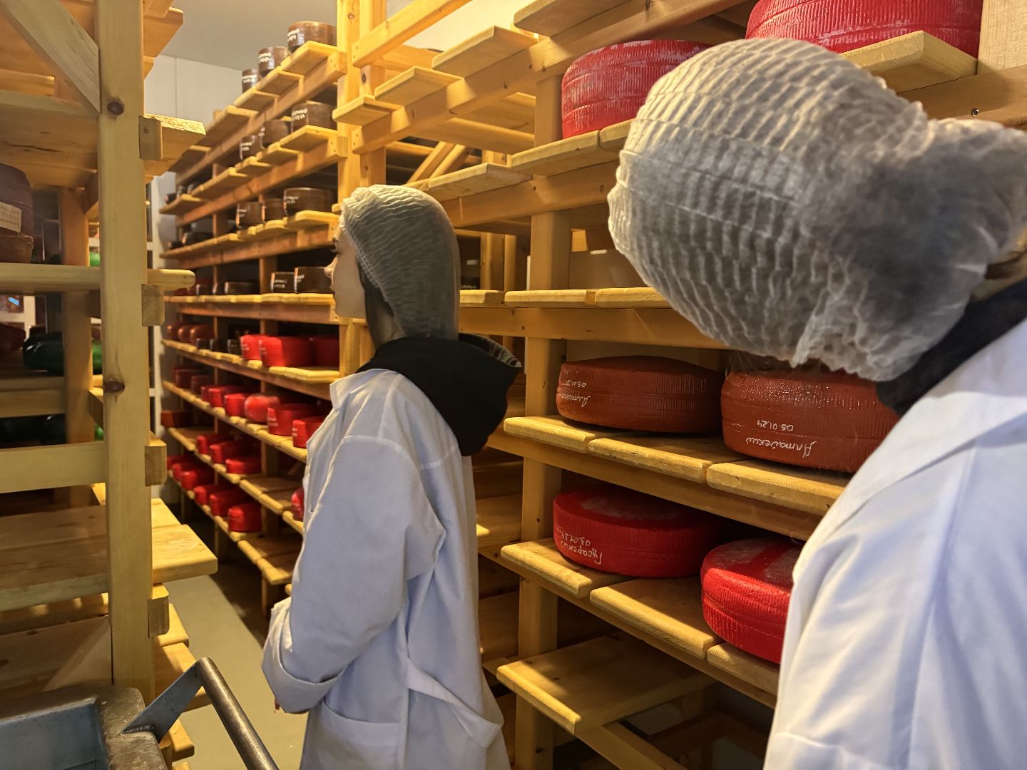 шаховская, день добрых дел, сыроварня,