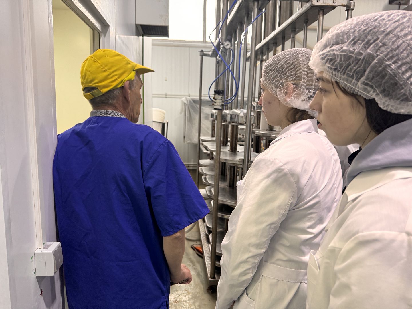 шаховская, день добрых дел, сыроварня,