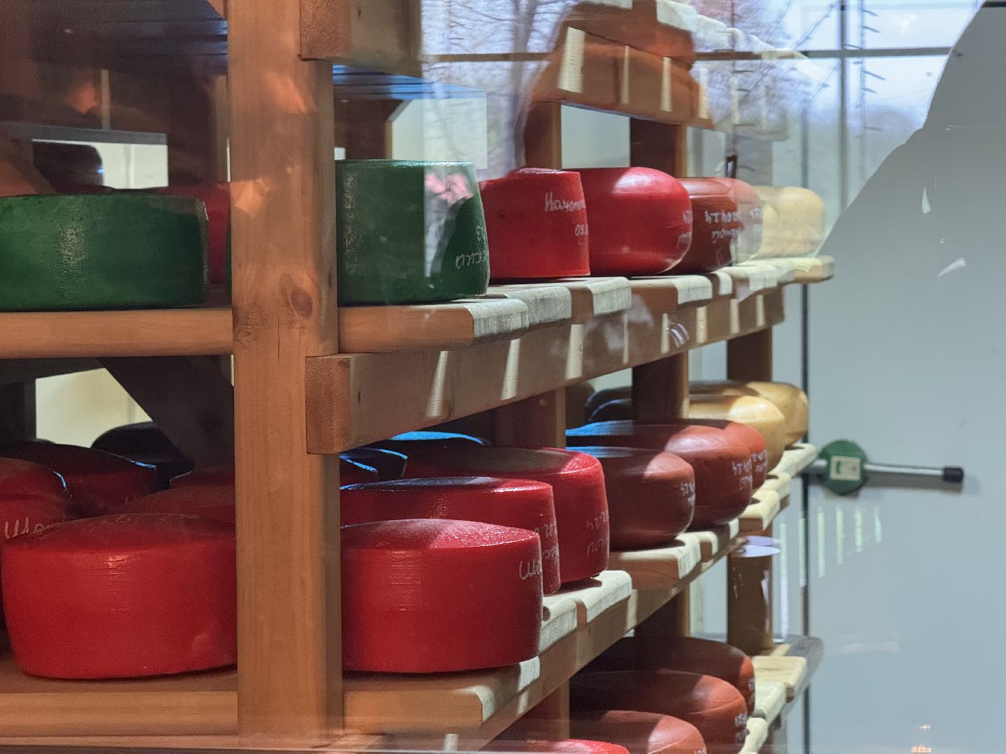 шаховская, день добрых дел, сыроварня,