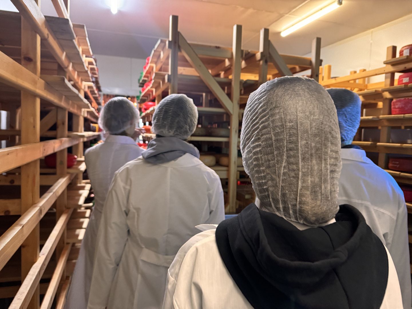 шаховская, день добрых дел, сыроварня,