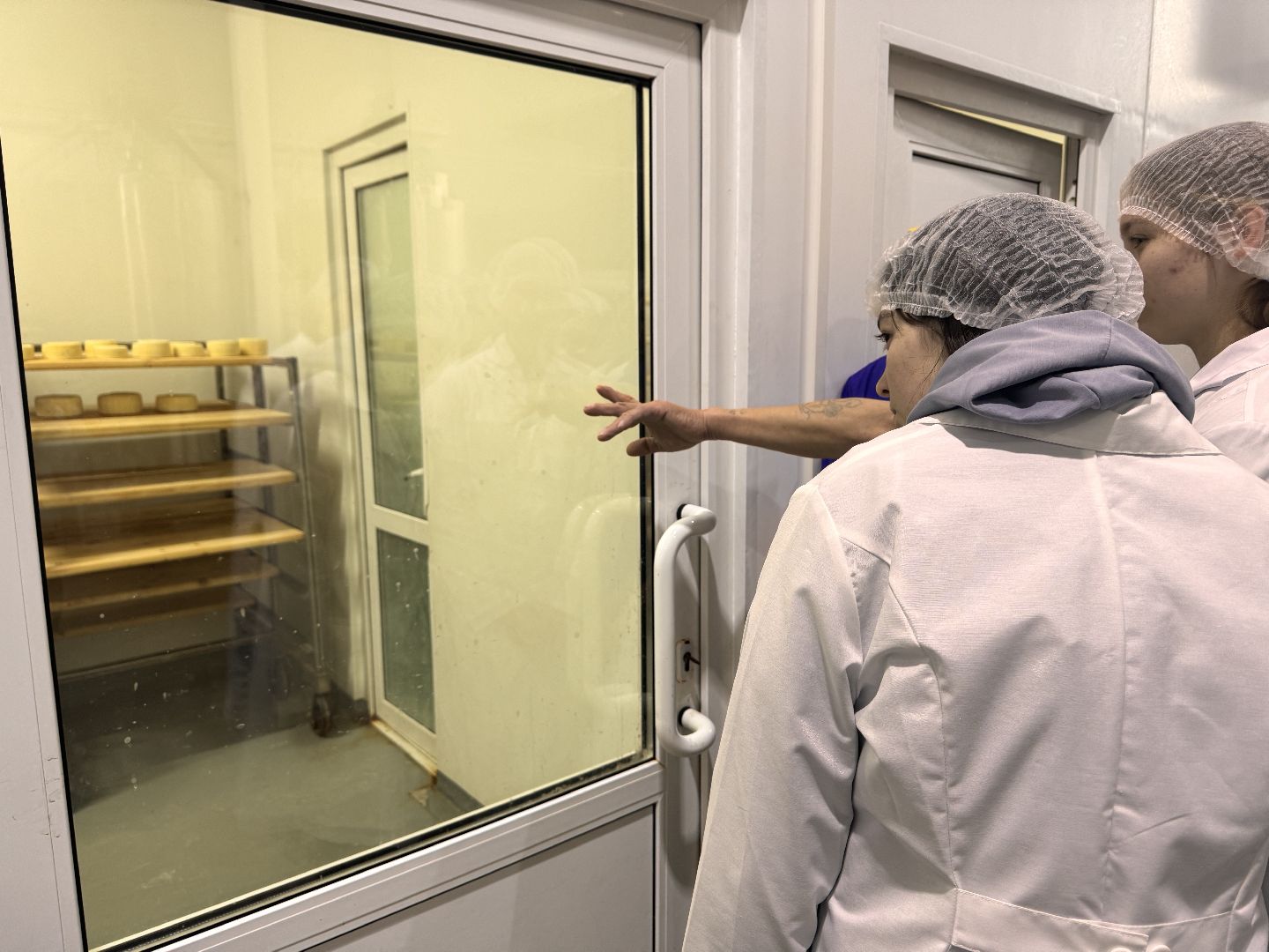 шаховская, день добрых дел, сыроварня,