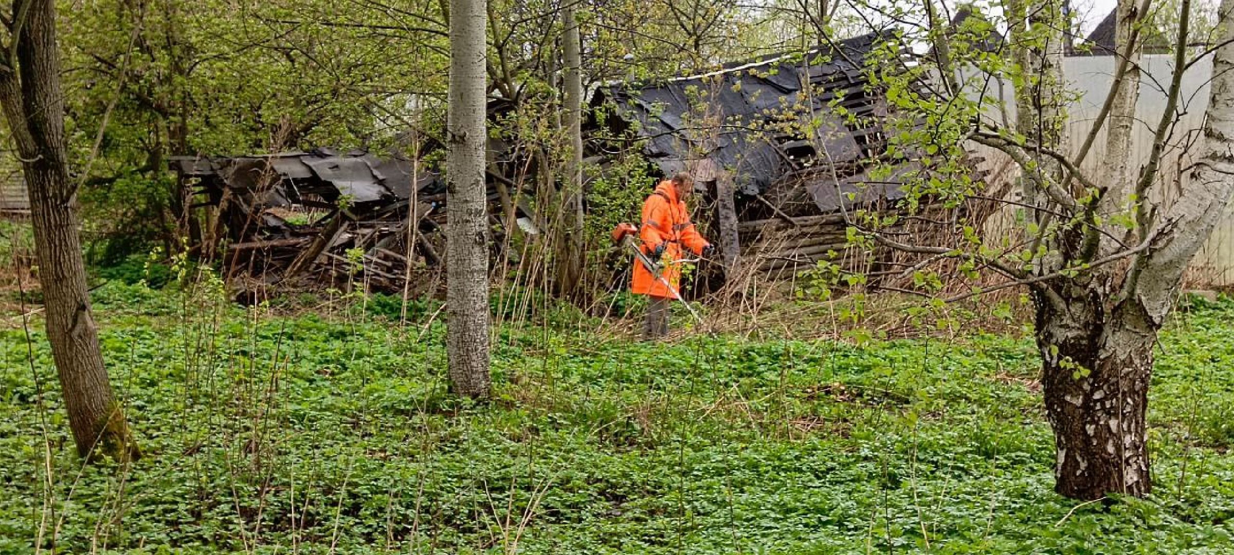 Дмитров, Общеобластной субботник,