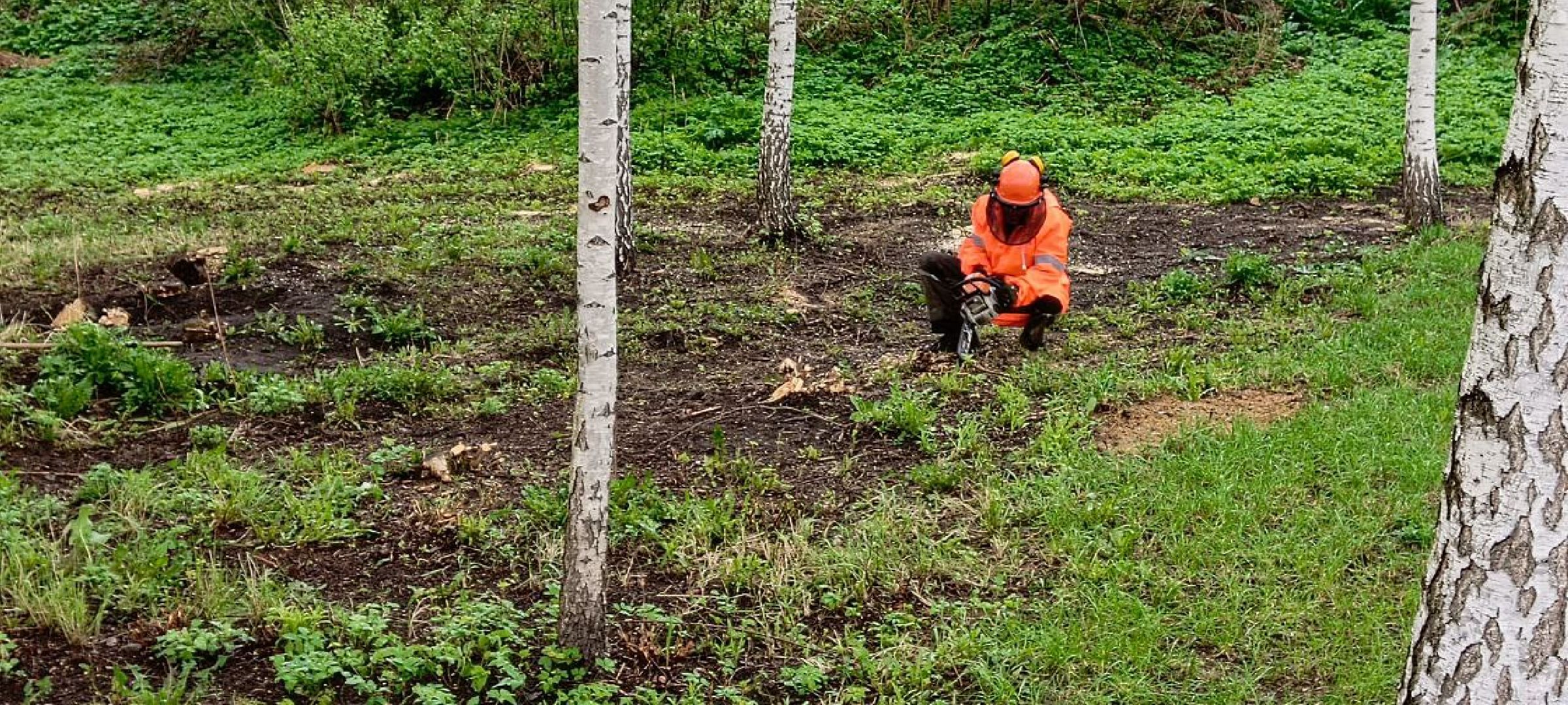 Дмитров, Общеобластной субботник,
