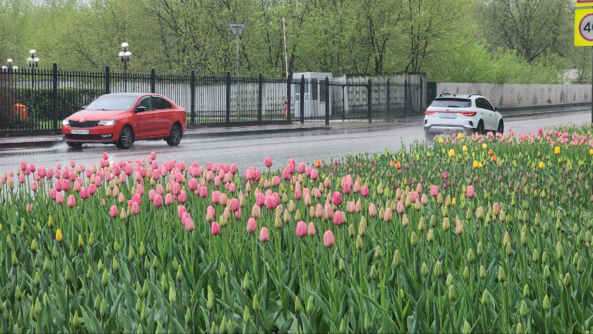 люберцы, парки, благоустройство,