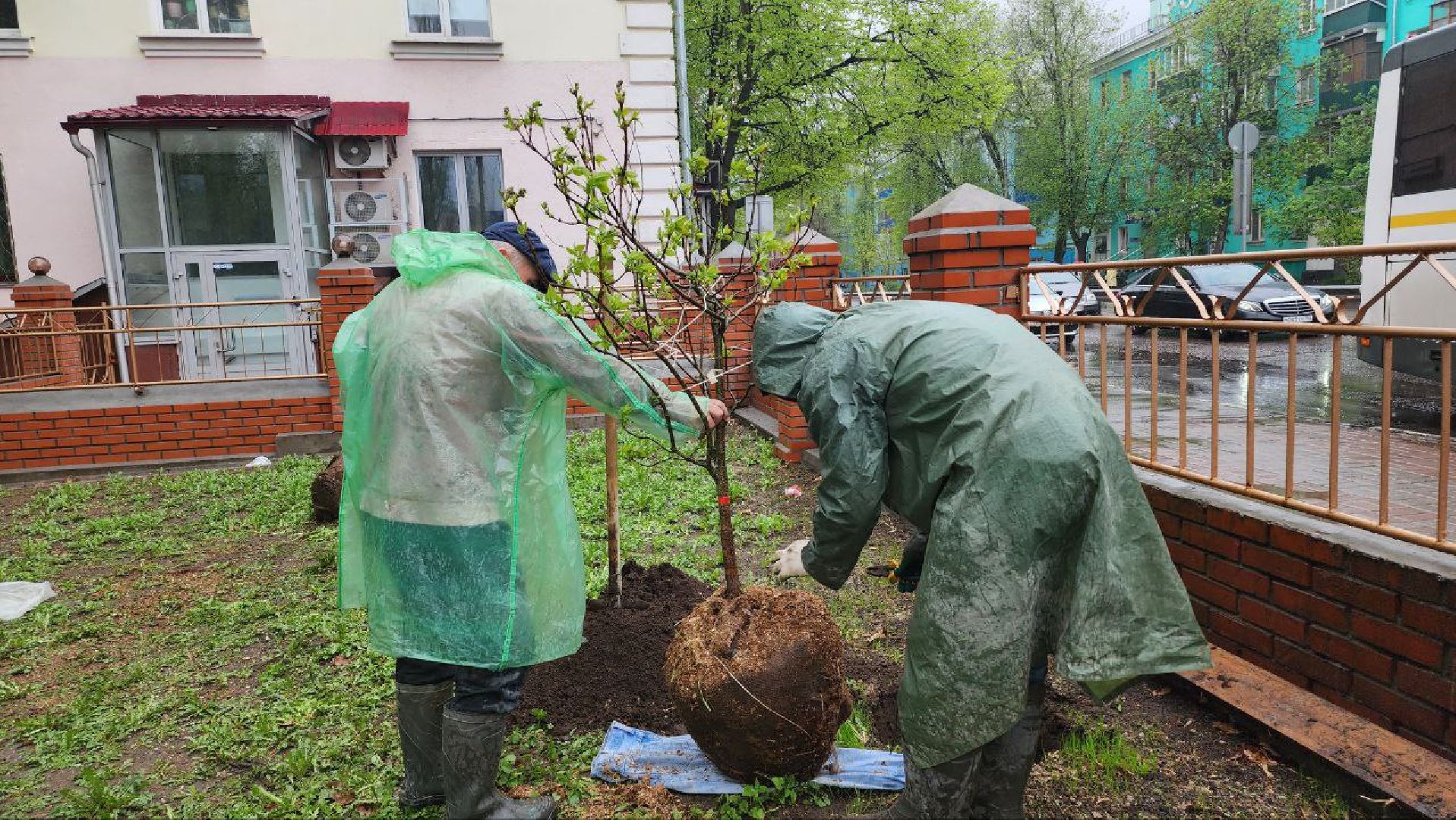 люберцы, парки, благоустройство,