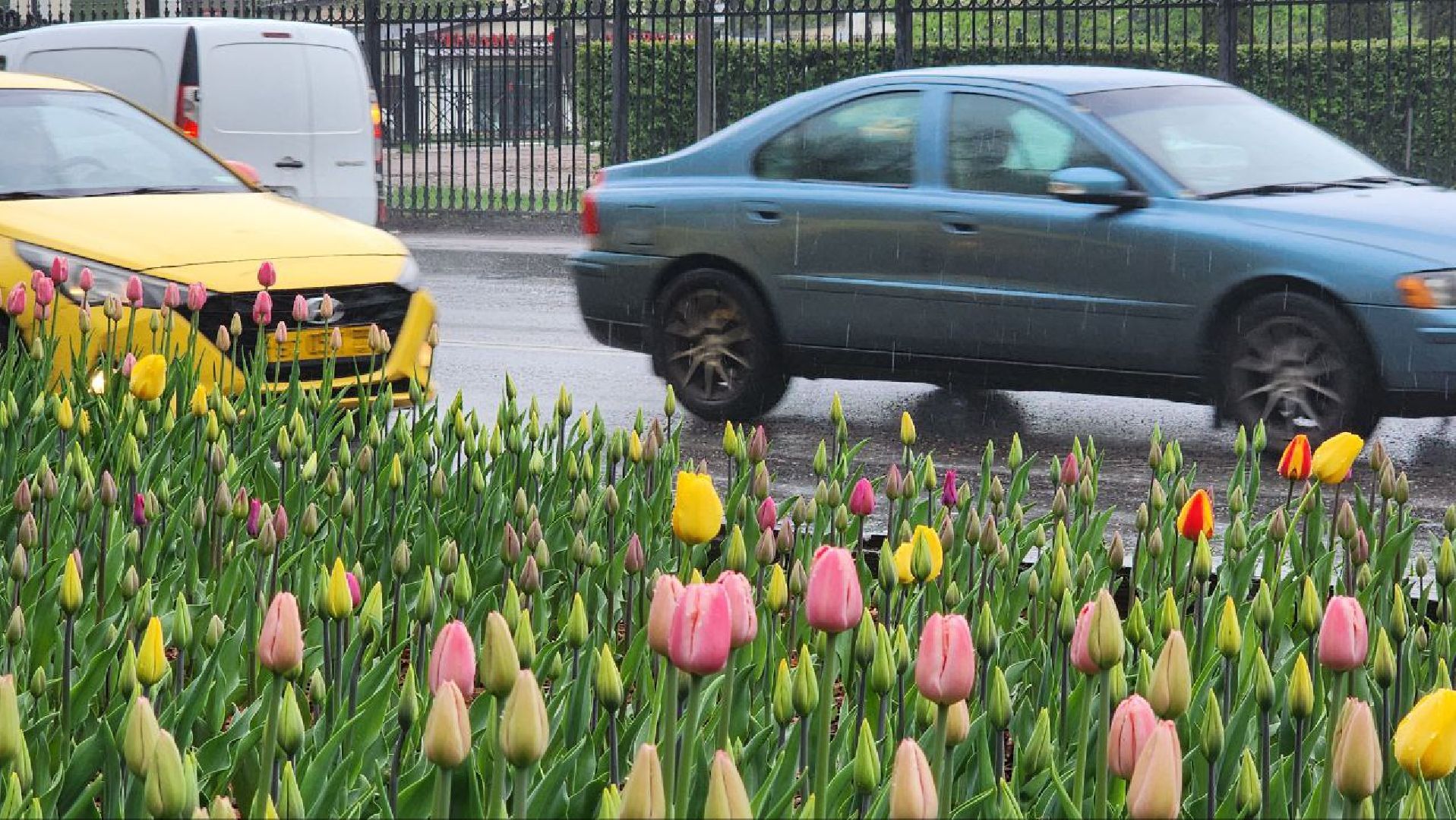 люберцы, парки, благоустройство,