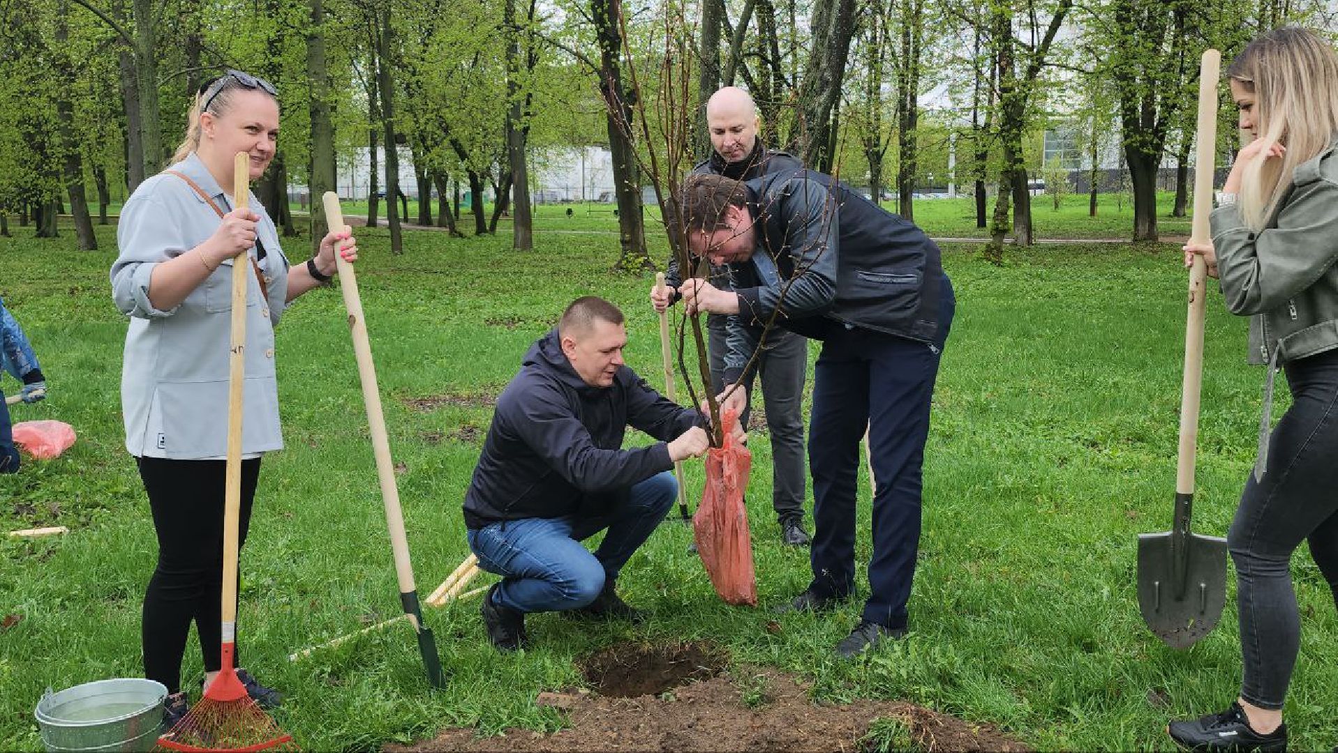 люберцы, парки, благоустройство,