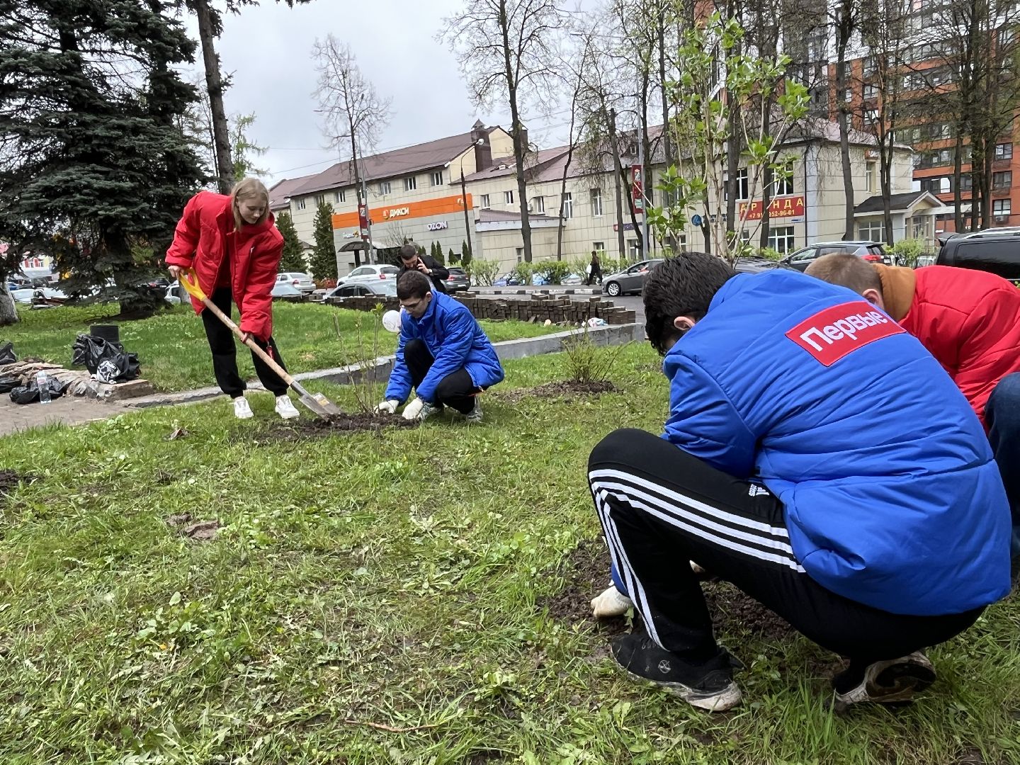 наро-фоминск, день добрых дел, роман шамнэ, наро-фоминский городской округ, дети Донбасса, Сирень, аллея памяти,