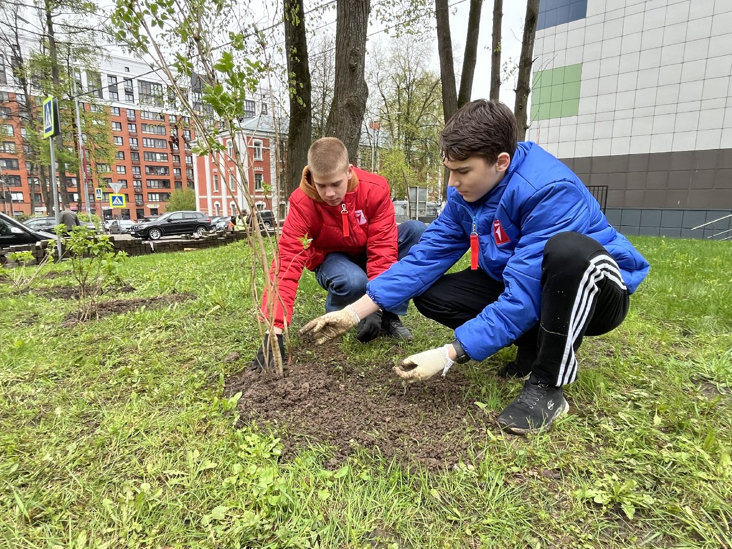 наро-фоминск, день добрых дел, роман шамнэ, наро-фоминский городской округ, дети Донбасса, Сирень, аллея памяти,