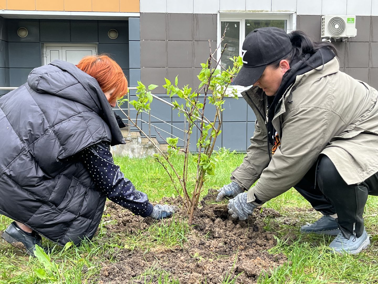 наро-фоминск, день добрых дел, роман шамнэ, наро-фоминский городской округ, дети Донбасса, Сирень, аллея памяти,