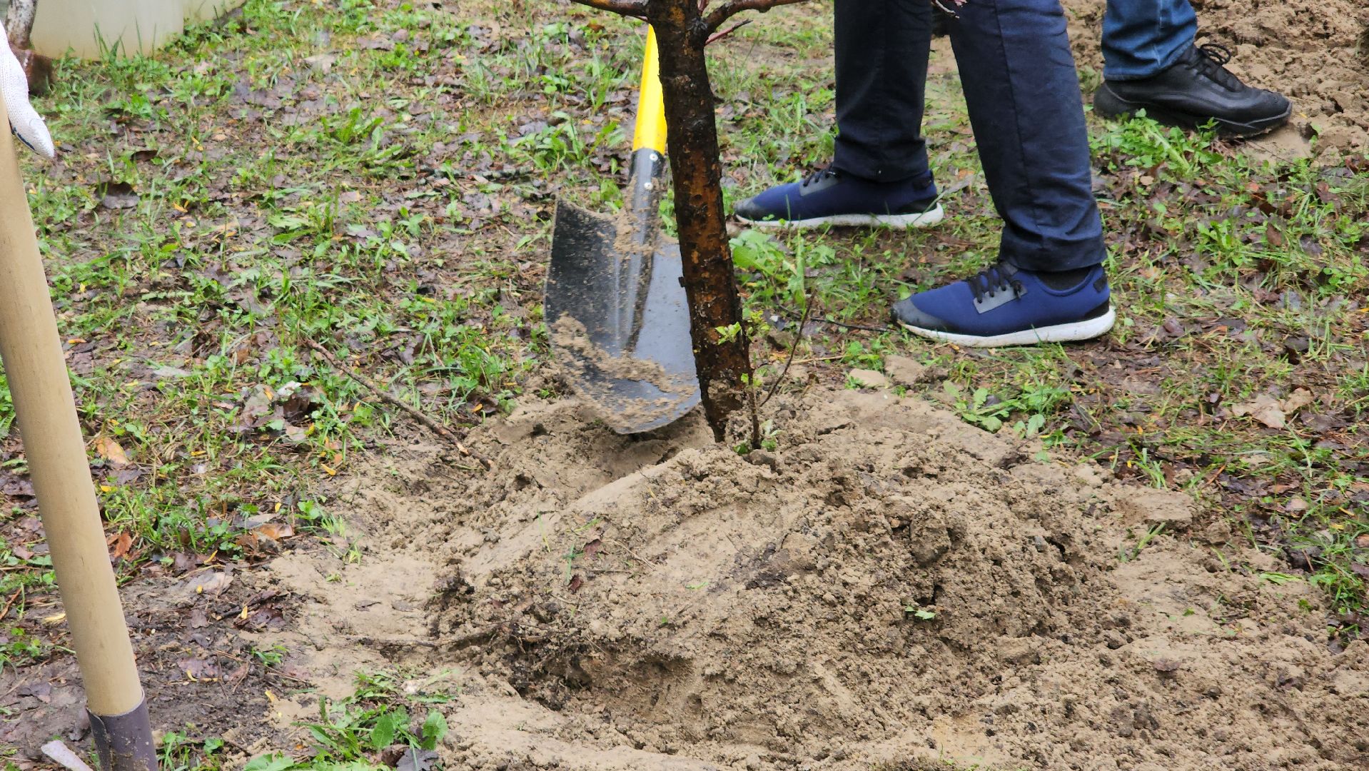 субботник, егорьевск, парк, парк 200 лет егорьевску, деревья, чебурашка, гена, шапокляк, чай, пирожки,