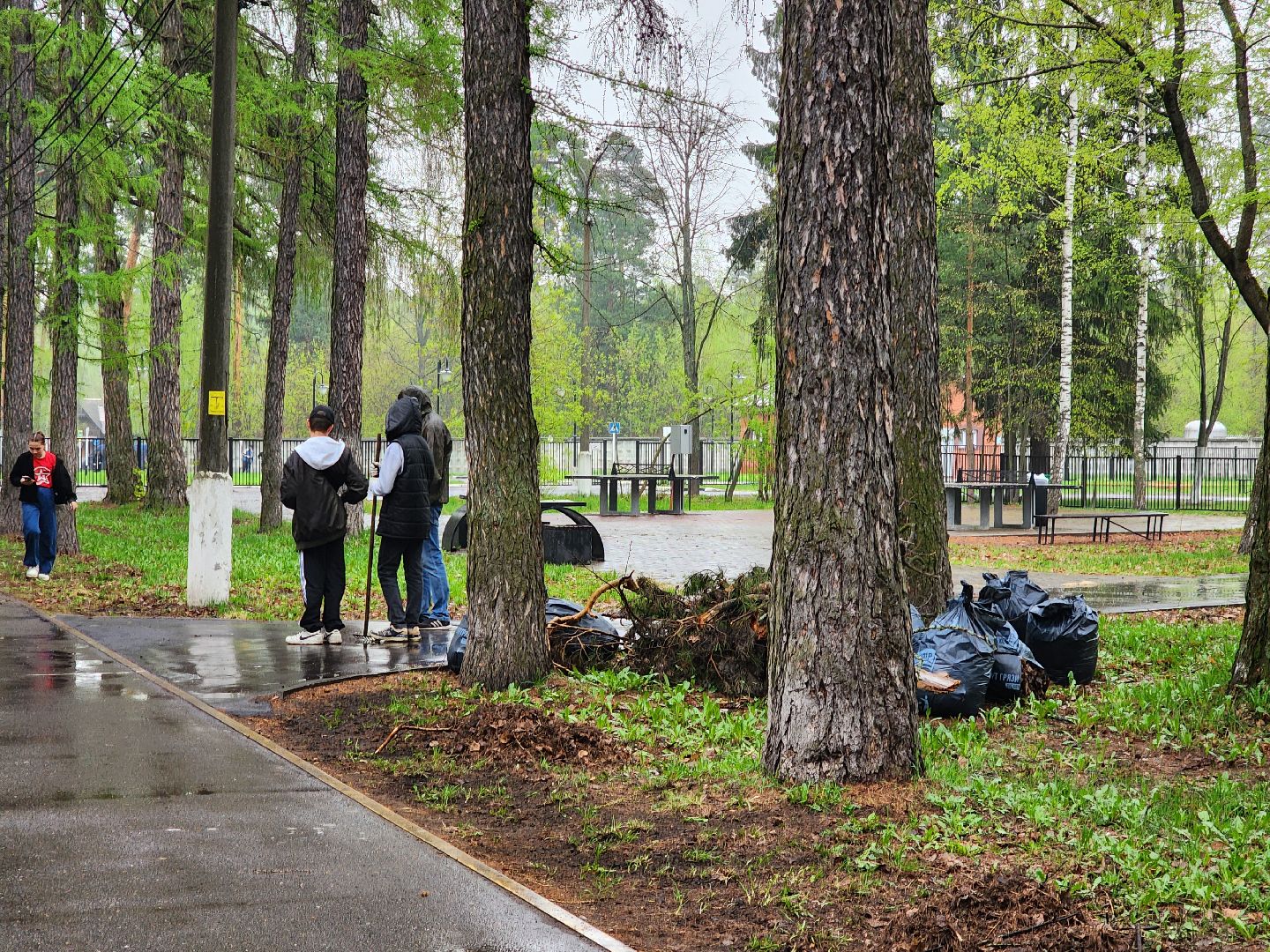 ногинск, день добрых дел, юнармия, субботник, парки подмосковья,