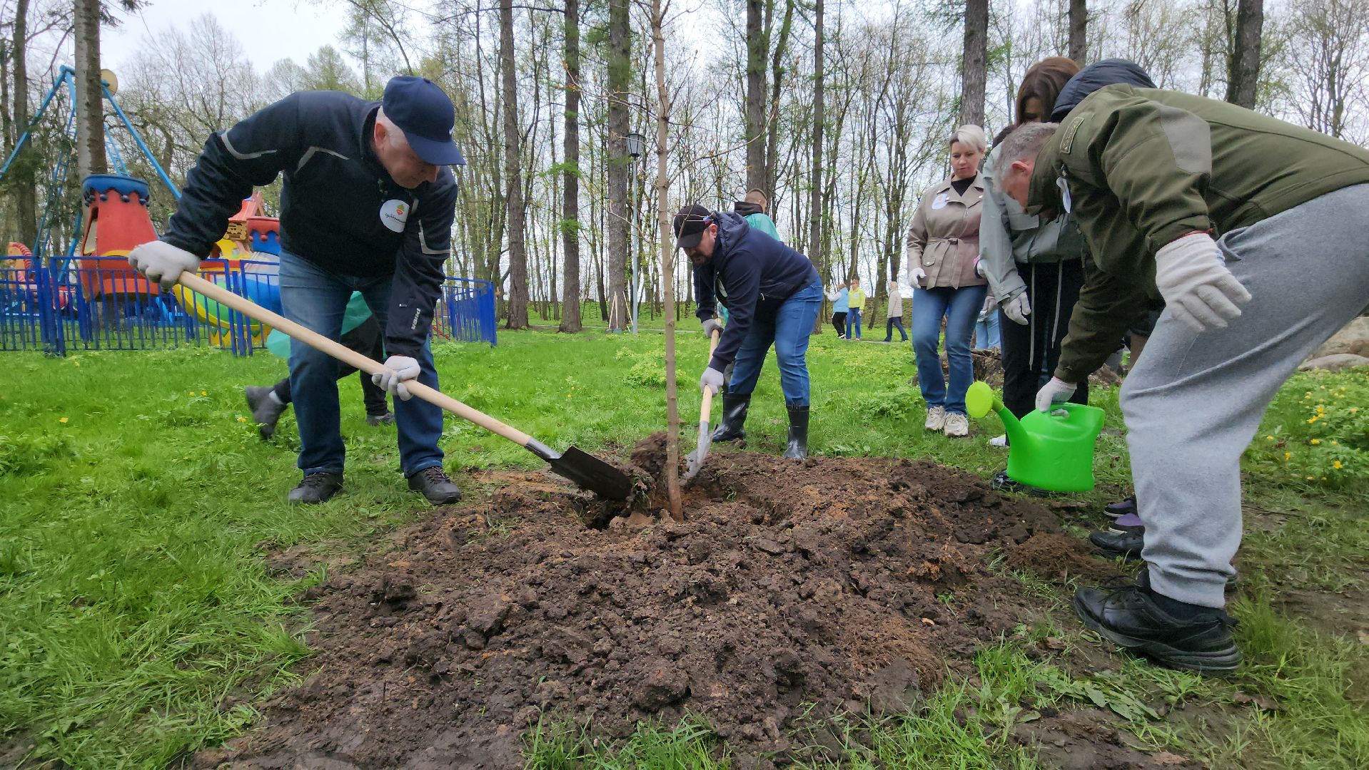 Городок, Парк, посадка кленов, аллея кленов, Благоустройство, субботник, день добрых дел, руза,