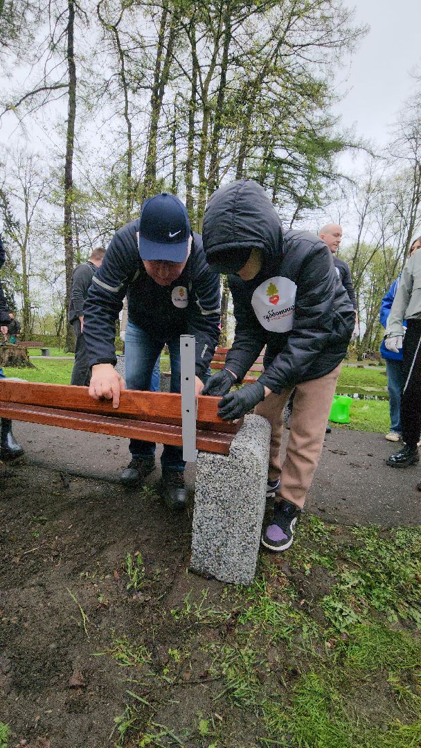 Городок, Парк, посадка кленов, аллея кленов, Благоустройство, субботник, день добрых дел, руза,