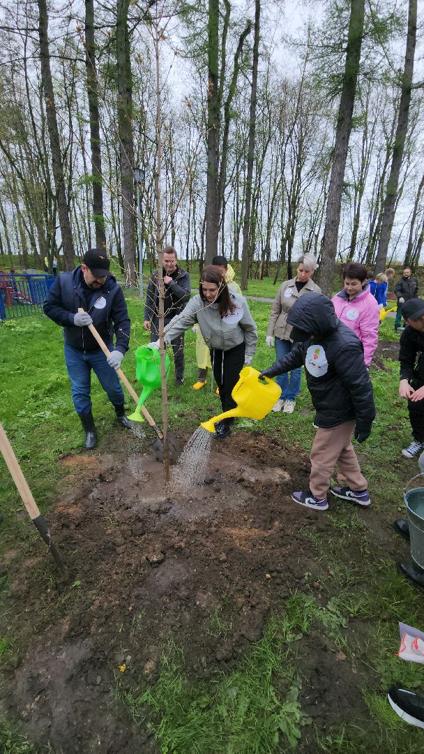 Городок, Парк, посадка кленов, аллея кленов, Благоустройство, субботник, день добрых дел, руза,