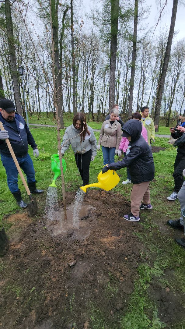 Городок, Парк, посадка кленов, аллея кленов, Благоустройство, субботник, день добрых дел, руза,
