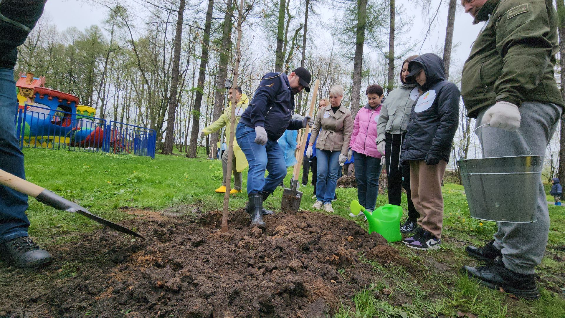 Городок, Парк, посадка кленов, аллея кленов, Благоустройство, субботник, день добрых дел, руза,