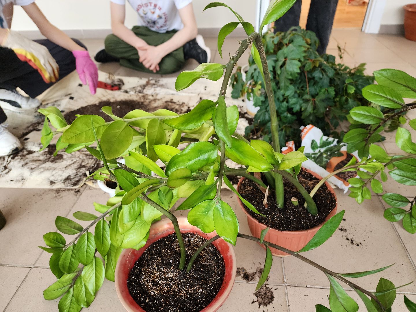 воскресенск, день добрых дел, школьники,