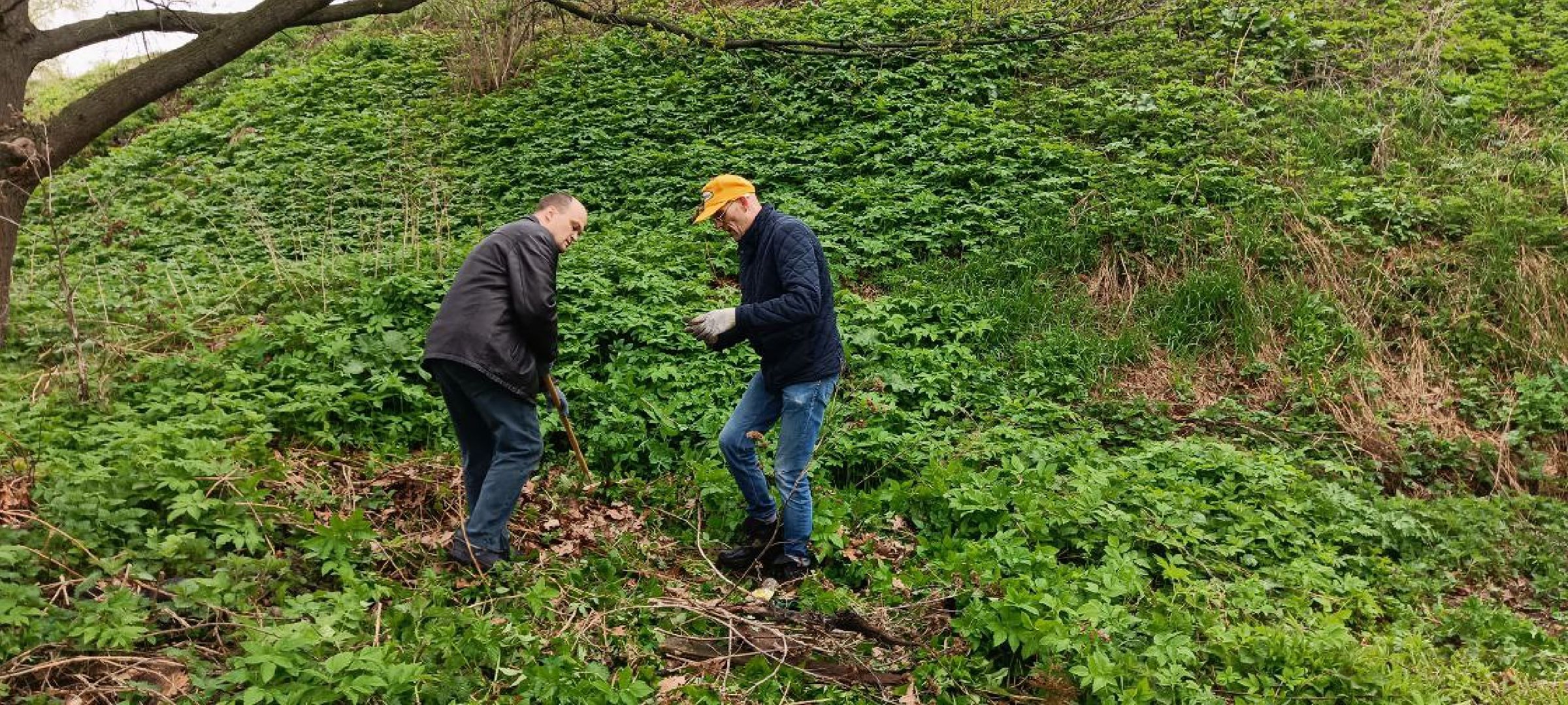 Дмитров, Дмитровский кремль, Институт археологии РАН,