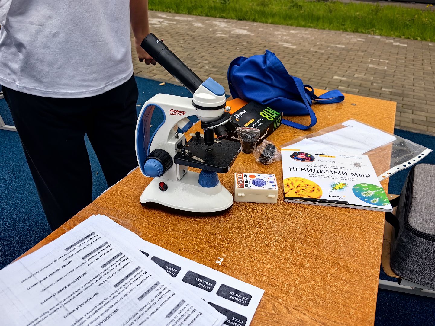 квест, экология, день добрых дел, лицей,