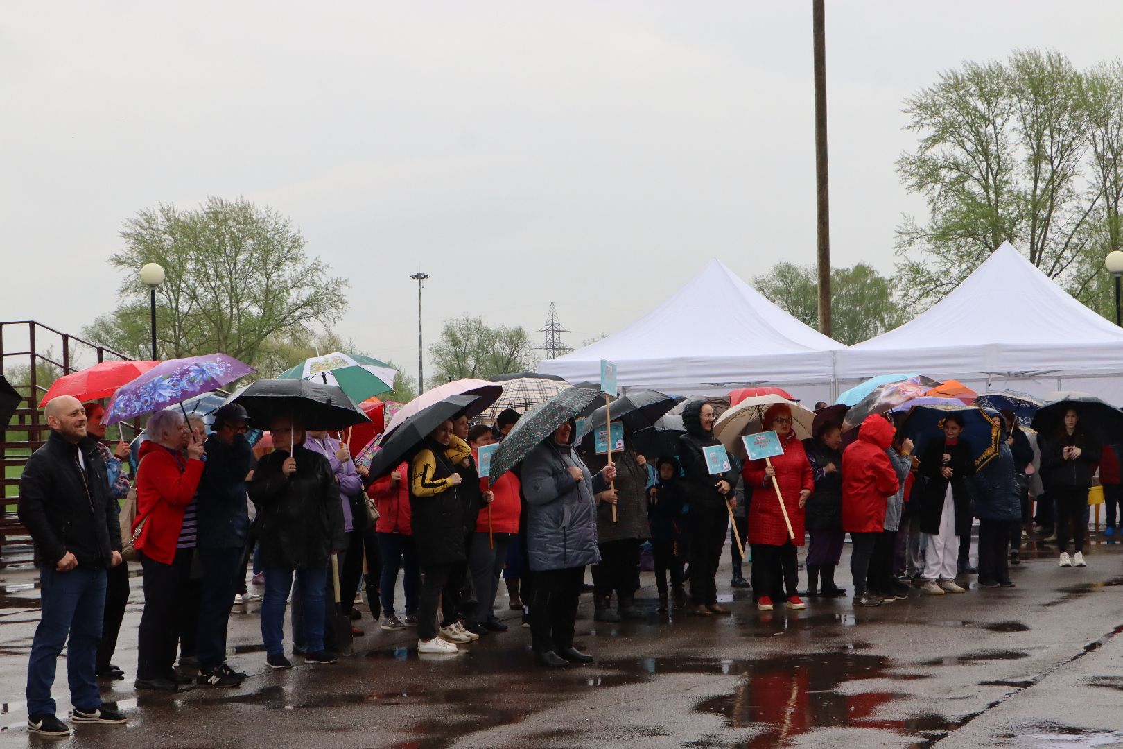 День добрых дел, Серебряные Пруды, Парк Серебряный, высадка деревьев,