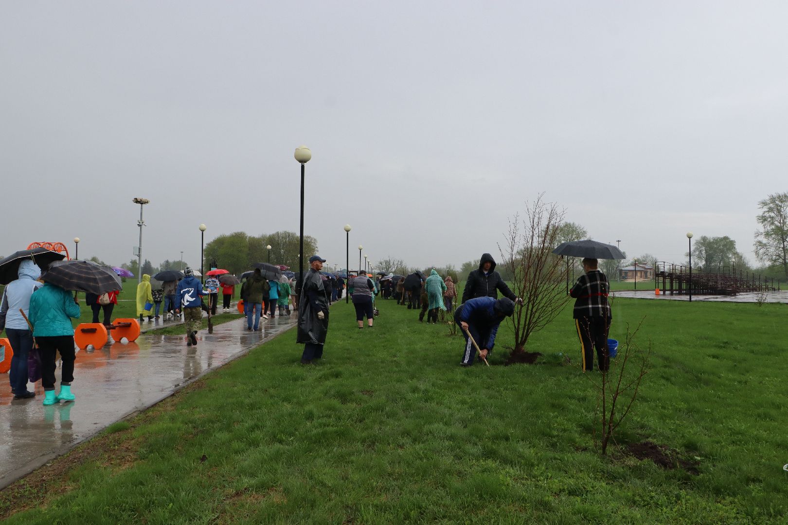 День добрых дел, Серебряные Пруды, Парк Серебряный, высадка деревьев,