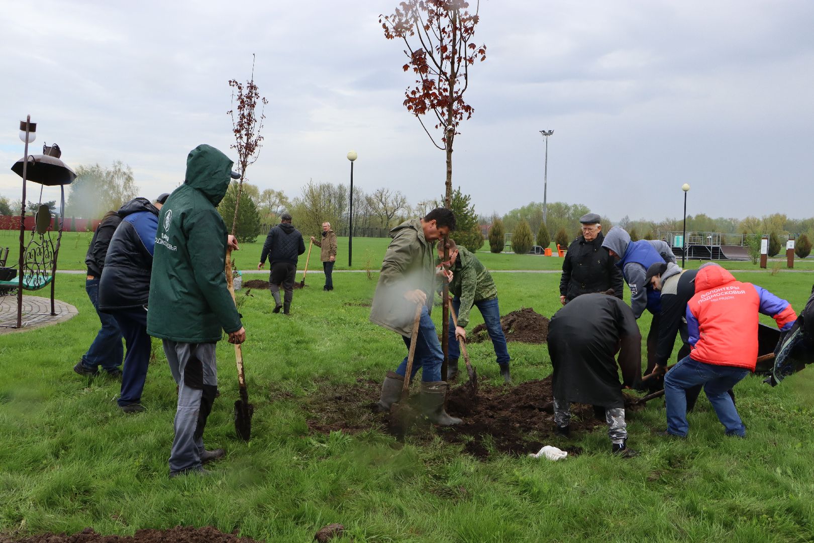 День добрых дел, Серебряные Пруды, Парк Серебряный, высадка деревьев,