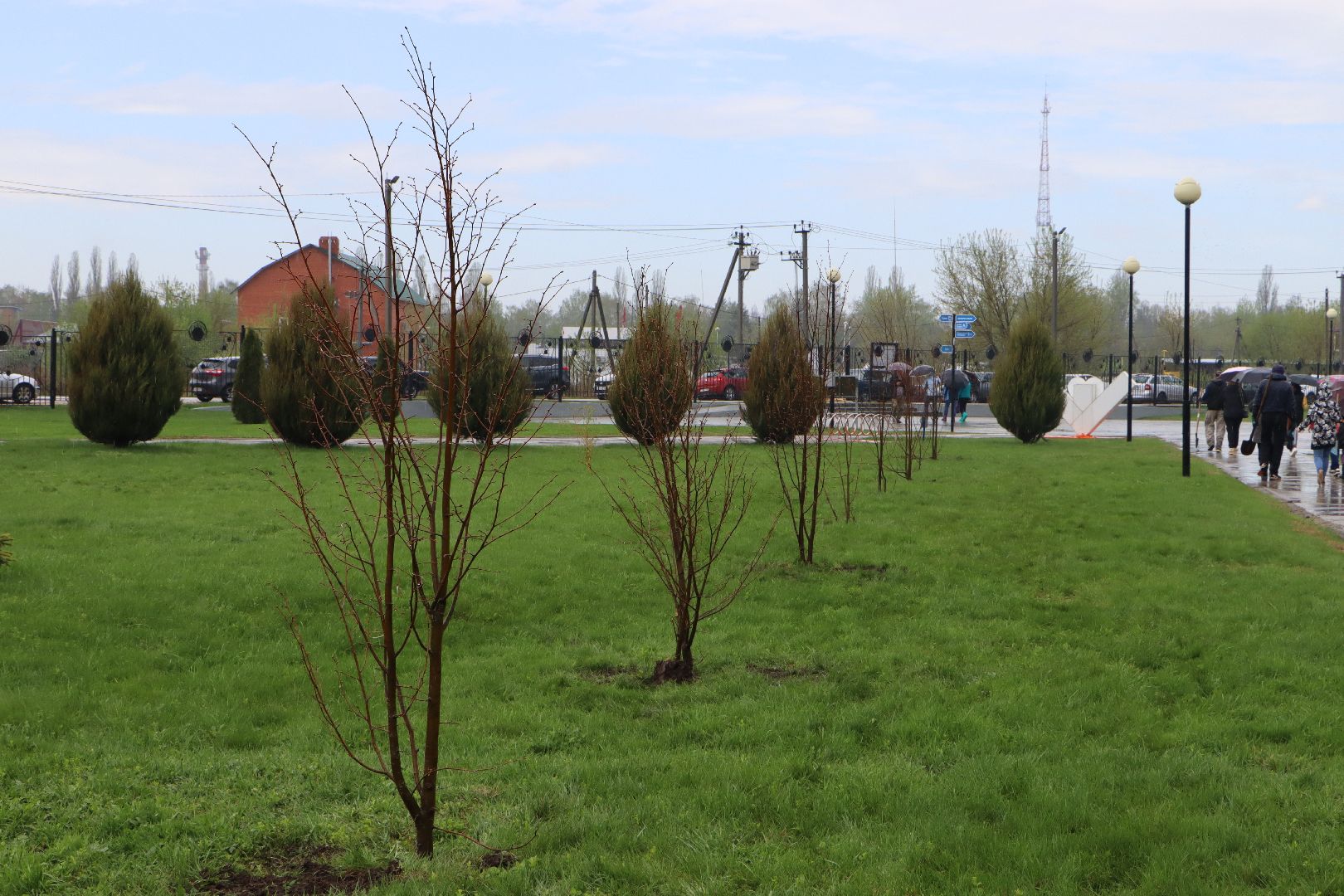 День добрых дел, Серебряные Пруды, Парк Серебряный, высадка деревьев,